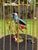 1950s Karl Griesbaum Made in Germany Mechanical Singing Bird Cage Automaton - New in Box For Sale - Image 10 of 17