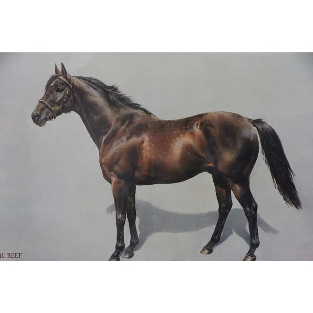 Mill Reef Winner of the Derby Stakes 1971 by Susan Crawford Provenance: The Susie Hilfiger Collection For Sale - Image 4 of 8