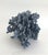 Late 20th Century Natural Blue Coral Specimen For Sale - Image 5 of 7