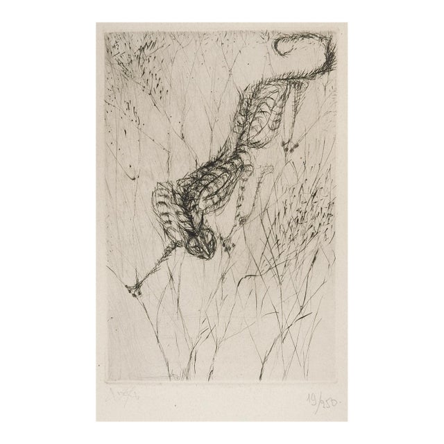 Mid 20th Century Surrealist Stalking Cat Etching For Sale
