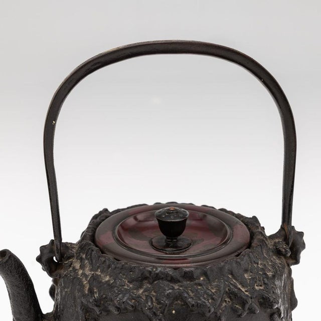Metal Antique Japanese Cast Iron Seiryudoa Carved Tetsubin Kettle, 1890s For Sale - Image 7 of 18