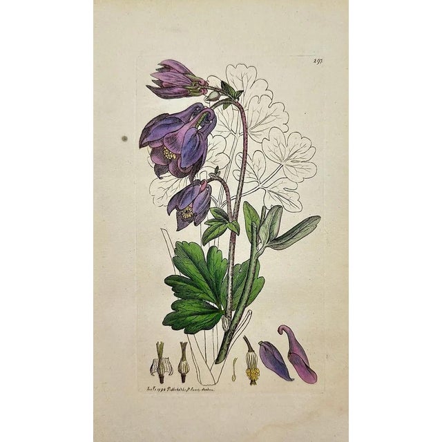 Presenting a collection of six authentic, hand-colored botanical and natural history engravings by the renowned English...