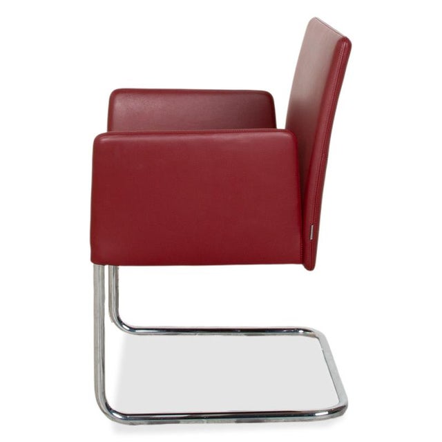 Jason Leather Cantilever Chairs in Red from Walter Knoll and Wilhelm Knoll, Set of 4 For Sale - Image 14 of 15