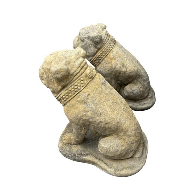 2000 - 2009 A Pair of Vintage Cast Stone English Bulldog Statuary For Sale - Image 5 of 12