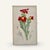 English Set of Two 19th Century Hand Colored Lithographs of Red Flowers For Sale - Image 3 of 3