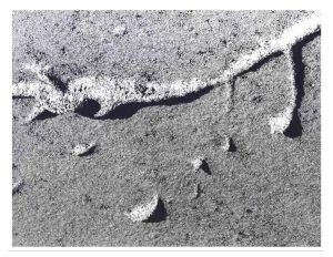 Harold Miller Null, Sand Shaped, Original Photograph, 1950s