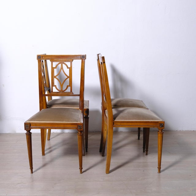 Brown Louis XVI Chairs in Walnut, Italy, 1950s, Set of 4 For Sale - Image 8 of 16