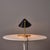 1950s Erik Warna 'Gk14' Black and Brass Perforated Shade Table Lamp For Sale - Image 4 of 18