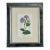 Vintage Trowbridge Custom Framed Botanical Print “Cosmanthus Grandiflorus” After Louis Van Houtte (1810–1876) For Sale