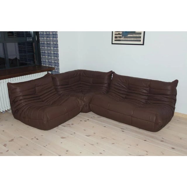 Dark Brown Leather Togo Lounge Chair, Corner and 2-Seat Sofa by Michel Ducaroy for Ligne Roset, Set of 3 For Sale - Image 16 of 16