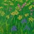 Fields of Flowers Poster after David Hockney For Sale - Image 5 of 6
