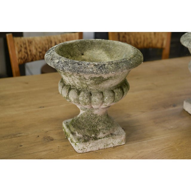 Medici Vases in Reconstituted Stone, 1950s, Set of 2, in Very Good conditions. Designed 1950 to 1959