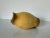 1980's Vintage Mustard Yellow Glaze Art Studio Pottery Vase, Signed For Sale In Miami - Image 6 of 8