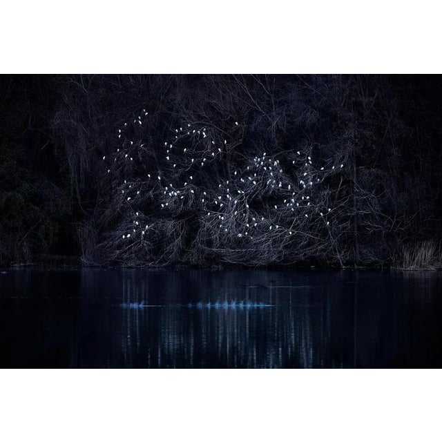 Deep Inside III #11 is a Giclée Print on Cotton Paper (Hahnemuhle Rag Paper 308g) print available in this size of 30cm x...