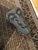 African Large Vintage Bamileke West African Carved Mask For Sale - Image 3 of 10