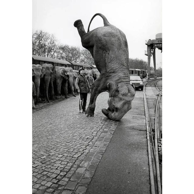 José NICOLAS (Born 1959) Elephants on the Head of American Circus at Bercy Station, Paris, 1985 Later silver print,...