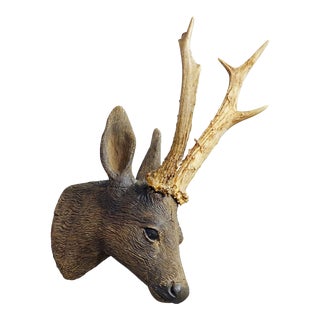 Antique Black Forest Plaster and Wood Deer Head Ca. 1900s For Sale
