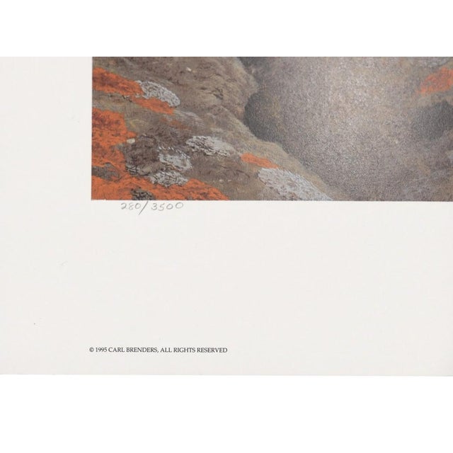 Carl Brenders "Top of the World - Polar Bear" Signed Limited Edition Lithograph, 1995 For Sale In Denver - Image 6 of 11