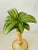 Coastal Italian Majolica Style Palm Tree Candlestick For Sale - Image 4 of 4