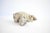 A vintage small animal sculpture of a polar bear, constructed of a formed metal base with a cream craquelure glaze. Date...