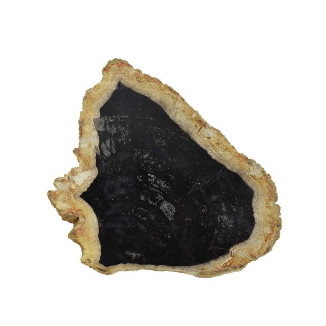 Elevate your entertaining with this Solid Stone Serving Cheese and Charcuterie Board, a stunning fusion of rugged nature...