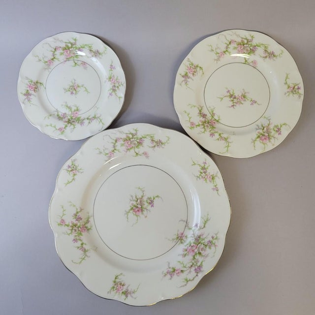 Mid 20th Century Mid 20th Century Traditional Theodore Haviland “Rosalinde” Dinnerware Set - 42 Piece For Sale - Image 5 of 9