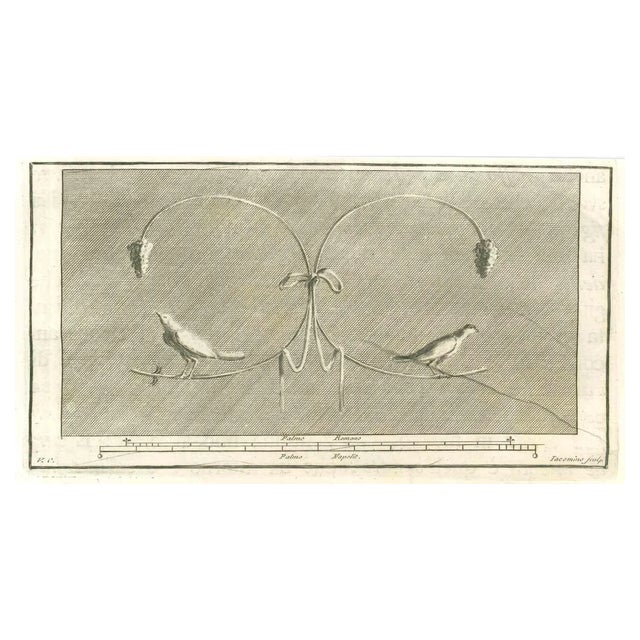 Marcantonio Iacomino, Birds Pompeian Fresco, Etching, 18th Century For Sale