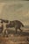 English Traditional Antique Framed Equestrian Print, 'Rubbing Down' For Sale - Image 11 of 18