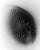 Sandstill No.8 2026 Limited edition of 20 Printed on archival Hahnemühle Photo Rag Baryta paper. Signed both front and...
