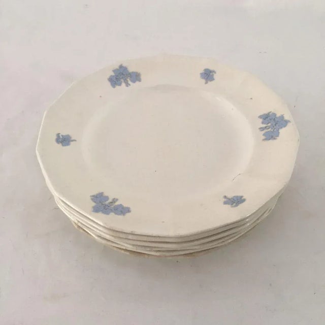 Mid 20th Century 20th Century English Traditional Chelsea Blue Grape Pattern Salad Plates - Set of 6 For Sale - Image 5 of 6