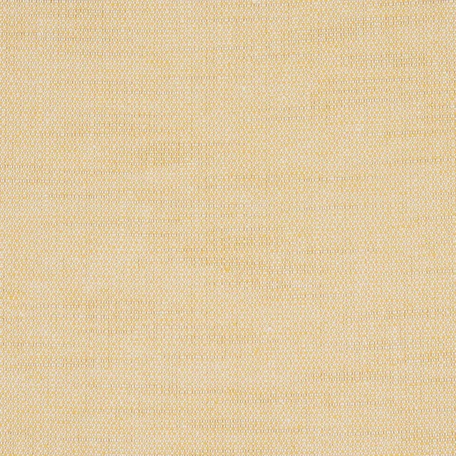 Camarillo Weave Indoor/Outdoor is a miraculous high-performance linen-blend fabric that is exceptionally durable and...