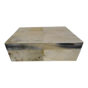 20th Century Organic Modern Naturally Harvested Reclaimed Horn Box