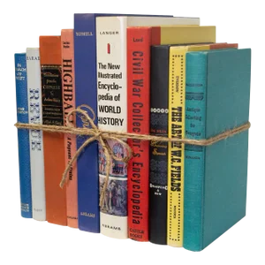 Decorative Books - Vintage Mix Oversized Book Bundle - 1 Foot of Books