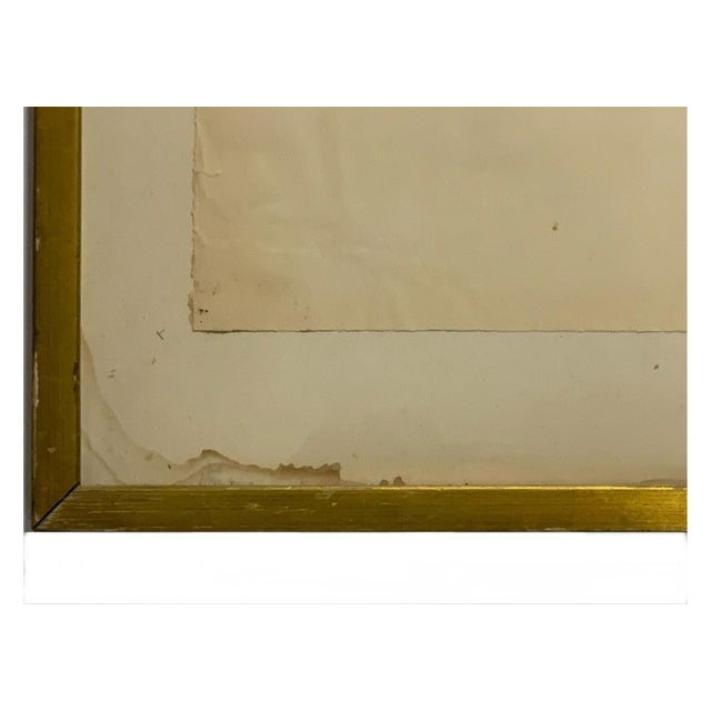 Paper 1960s Mid Century Modern Cattail Drawing by Bruce Dorfman (Am. Born 1936) For Sale - Image 7 of 11