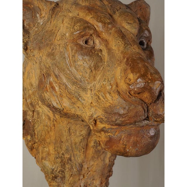 Carine Laeveren, Lion Head Sculpture, 2000s, Plaster For Sale - Image 16 of 18