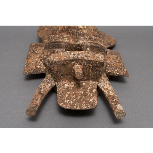 Antique African Tribal Carved Wood Senufo Kpelie Mask For Sale In New York - Image 6 of 7