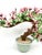 A striking oversized handcrafted glass bonsai tree featuring delicate pink jade-like blossoms, translucent green leaves,...