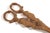19th Century Finely Carved Figural Wooden Sugar/Grape Tongs Black Forest Style For Sale In Houston - Image 6 of 12