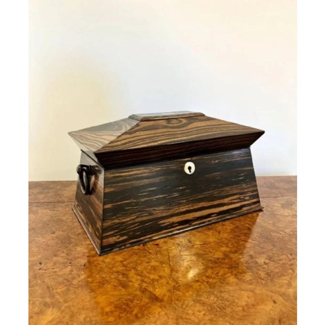 Regency Coromandel Wood Tea Caddy, 1830s For Sale - Image 3 of 10