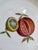 Bidasoa Spain Fruit Motif Salald or Dessert Plates - Set of 5 For Sale In Seattle - Image 6 of 11