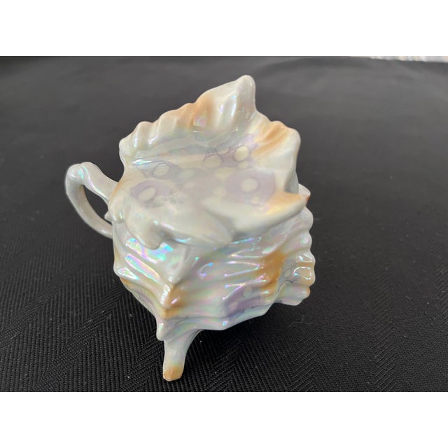 Early 20th Century Early 20th Century Conch Shell Sugar, Creamer, Salt, Pepper & Tray by Royal Bayreuth For Sale - Image 5 of 12