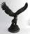 Black Antique French Bronze Sculpture of Eagle Falcon by Jules Moigniez, Large 24" For Sale - Image 8 of 15