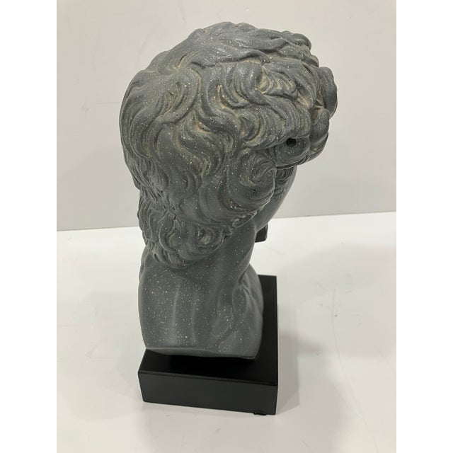 1960s 1960s Head of David by Austin For Sale - Image 5 of 7