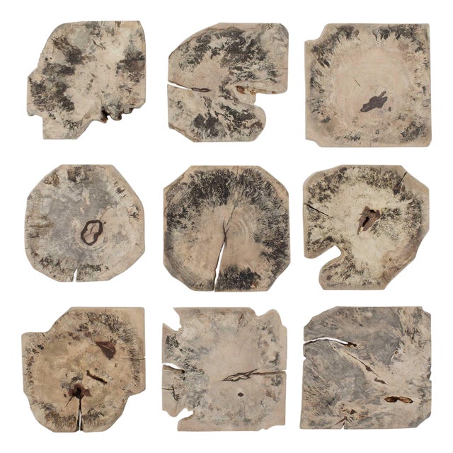 Bahati Wood Bleached Wall Decor Set/9 For Sale