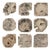 Bahati Wood Bleached Wall Decor Set/9 For Sale