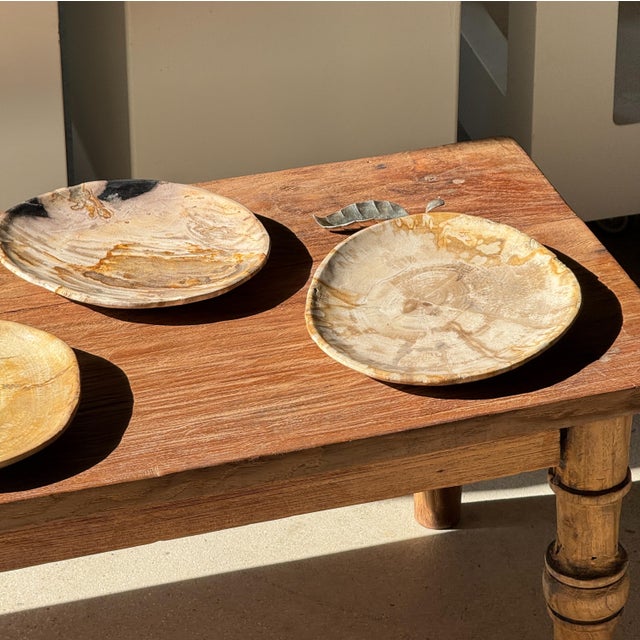 Small Trinket Tray in Speckled Beige Petrified Wood For Sale - Image 10 of 18