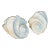 Pair Plaster Palm Beach Shell Seashell Wall Light Sconces Serge Roche Manner For Sale