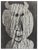 Pablo Picasso, Diurnal, Hic, Original Phototype For Sale