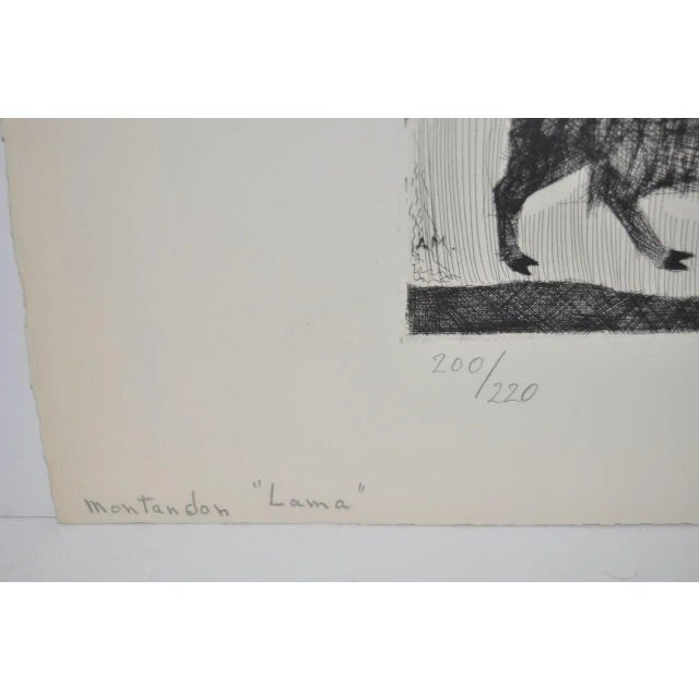 1937 Vintage "The Spooky Lama" Etching by Aime Montandon For Sale - Image 10 of 10