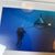 Brian Skerry Sharks on Assignment Great White Photograph, Framed For Sale - Image 12 of 12